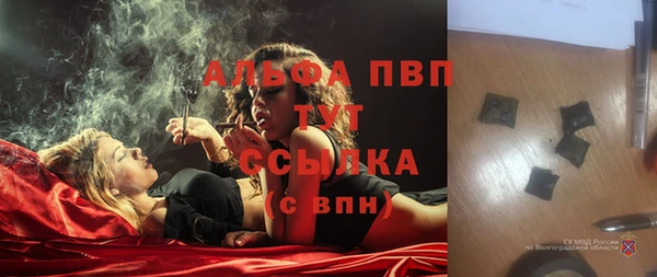 PSILOCYBIN Армянск